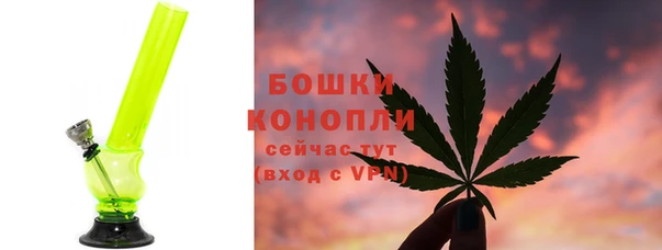 дживик Белокуриха