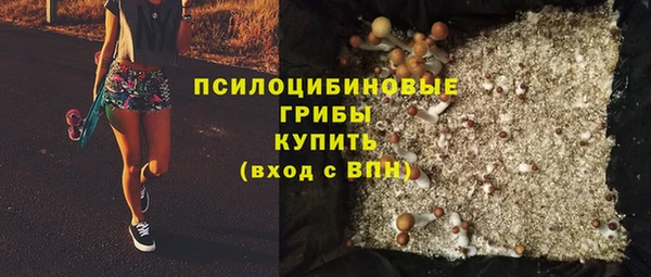 дживик Белокуриха